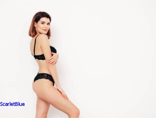 Exclusive Lifestyle Companions